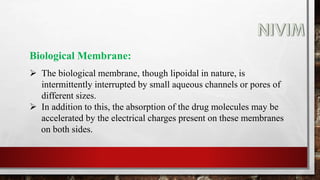 Biological Membrane:
 The biological membrane, though lipoidal in nature, is
intermittently interrupted by small aqueous channels or pores of
different sizes.
 In addition to this, the absorption of the drug molecules may be
accelerated by the electrical charges present on these membranes
on both sides.
 