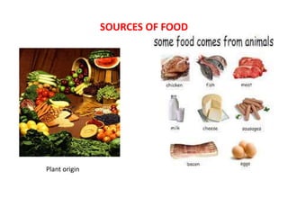 SOURCES OF FOOD
Plant origin
 