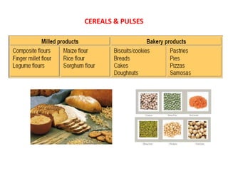CEREALS & PULSES
 