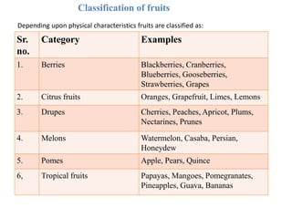 Classification of fruits
Depending upon physical characteristics fruits are classified as:
Sr.
no.
Category Examples
1. Berries Blackberries, Cranberries,
Blueberries, Gooseberries,
Strawberries, Grapes
2. Citrus fruits Oranges, Grapefruit, Limes, Lemons
3. Drupes Cherries, Peaches, Apricot, Plums,
Nectarines, Prunes
4. Melons Watermelon, Casaba, Persian,
Honeydew
5. Pomes Apple, Pears, Quince
6, Tropical fruits Papayas, Mangoes, Pomegranates,
Pineapples, Guava, Bananas
 