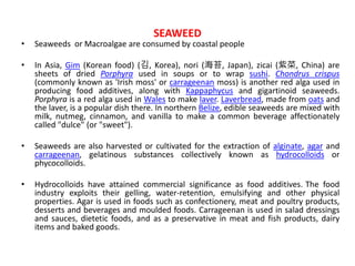 • Seaweeds or Macroalgae are consumed by coastal people
• In Asia, Gim (Korean food) (김, Korea), nori (海苔, Japan), zicai (紫菜, China) are
sheets of dried Porphyra used in soups or to wrap sushi. Chondrus crispus
(commonly known as 'Irish moss' or carrageenan moss) is another red alga used in
producing food additives, along with Kappaphycus and gigartinoid seaweeds.
Porphyra is a red alga used in Wales to make laver. Laverbread, made from oats and
the laver, is a popular dish there. In northern Belize, edible seaweeds are mixed with
milk, nutmeg, cinnamon, and vanilla to make a common beverage affectionately
called "dulce" (or "sweet").
• Seaweeds are also harvested or cultivated for the extraction of alginate, agar and
carrageenan, gelatinous substances collectively known as hydrocolloids or
phycocolloids.
• Hydrocolloids have attained commercial significance as food additives. The food
industry exploits their gelling, water-retention, emulsifying and other physical
properties. Agar is used in foods such as confectionery, meat and poultry products,
desserts and beverages and moulded foods. Carrageenan is used in salad dressings
and sauces, dietetic foods, and as a preservative in meat and fish products, dairy
items and baked goods.
SEAWEED
 