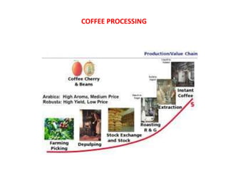 COFFEE PROCESSING
 
