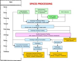 SPICES PROCESSING
 