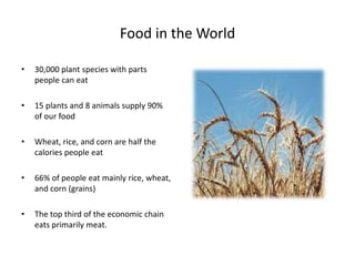 Food in the World
• 30,000 plant species with parts
people can eat
• 15 plants and 8 animals supply 90%
of our food
• Wheat, rice, and corn are half the
calories people eat
• 66% of people eat mainly rice, wheat,
and corn (grains)
• The top third of the economic chain
eats primarily meat.
 