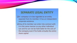 company law 