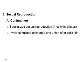 2. Sexual Reproduction
A. Conjugation
 Specialized sexual reproduction (mostly in ciliates)
 Involves nuclear exchange and union after cells join
32
 