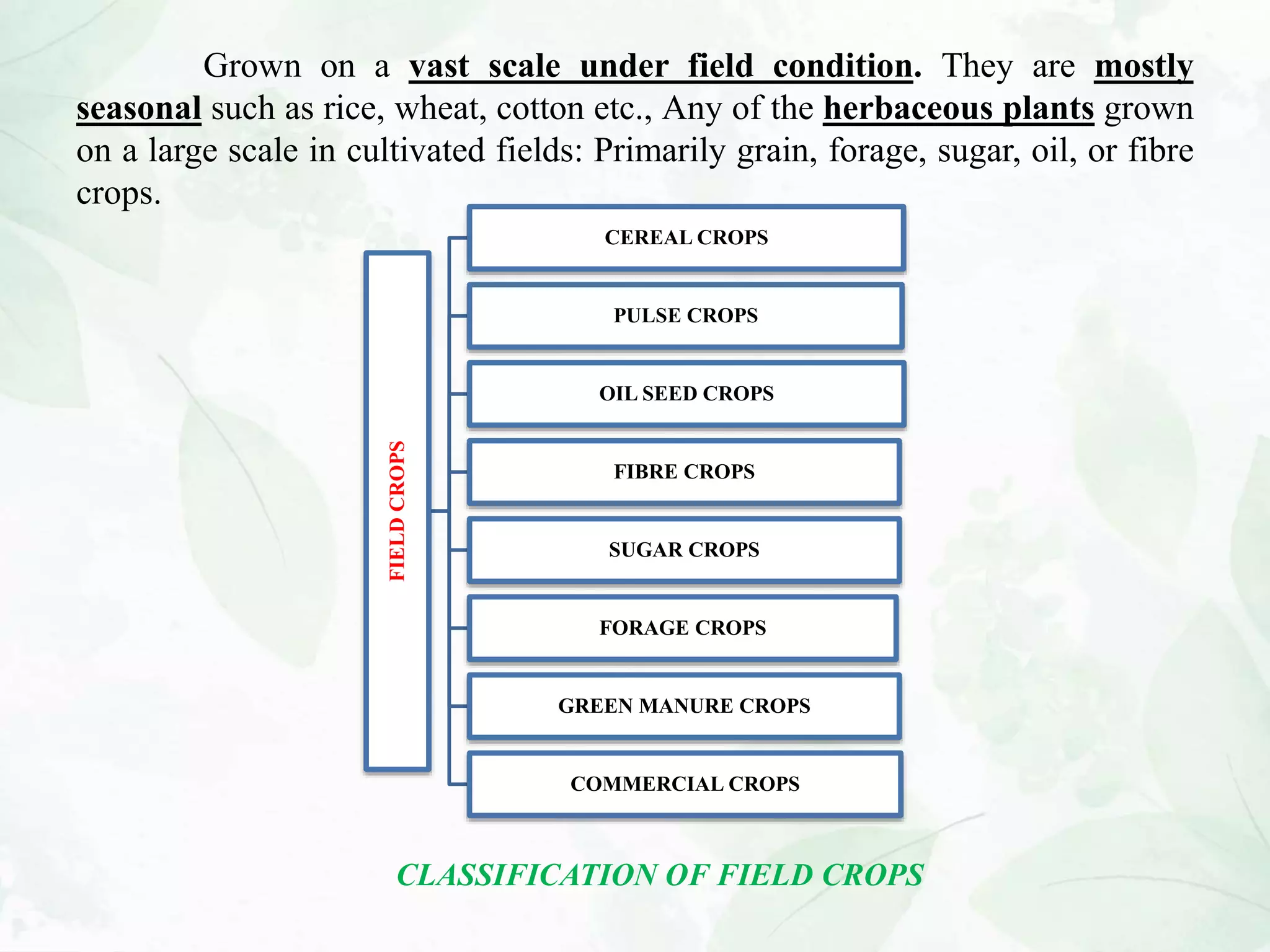 CLASSIFICATION OF FIELD CROPS | PPT