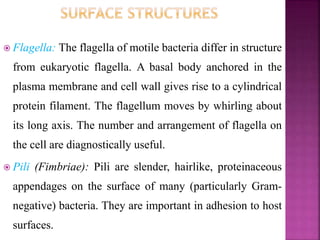  Flagella: The flagella of motile bacteria differ in structure
from eukaryotic flagella. A basal body anchored in the
plasma membrane and cell wall gives rise to a cylindrical
protein filament. The flagellum moves by whirling about
its long axis. The number and arrangement of flagella on
the cell are diagnostically useful.
 Pili (Fimbriae): Pili are slender, hairlike, proteinaceous
appendages on the surface of many (particularly Gram-
negative) bacteria. They are important in adhesion to host
surfaces.
 