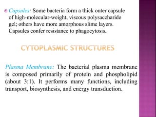  Capsules: Some bacteria form a thick outer capsule
of high-molecular-weight, viscous polysaccharide
gel; others have more amorphous slime layers.
Capsules confer resistance to phagocytosis.
Plasma Membrane: The bacterial plasma membrane
is composed primarily of protein and phospholipid
(about 3:1). It performs many functions, including
transport, biosynthesis, and energy transduction.
 