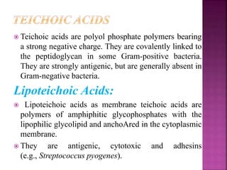  Teichoic acids are polyol phosphate polymers bearing
a strong negative charge. They are covalently linked to
the peptidoglycan in some Gram-positive bacteria.
They are strongly antigenic, but are generally absent in
Gram-negative bacteria.
Lipoteichoic Acids:
 Lipoteichoic acids as membrane teichoic acids are
polymers of amphiphitic glycophosphates with the
lipophilic glycolipid and anchoAred in the cytoplasmic
membrane.
 They are antigenic, cytotoxic and adhesins
(e.g., Streptococcus pyogenes).
 
