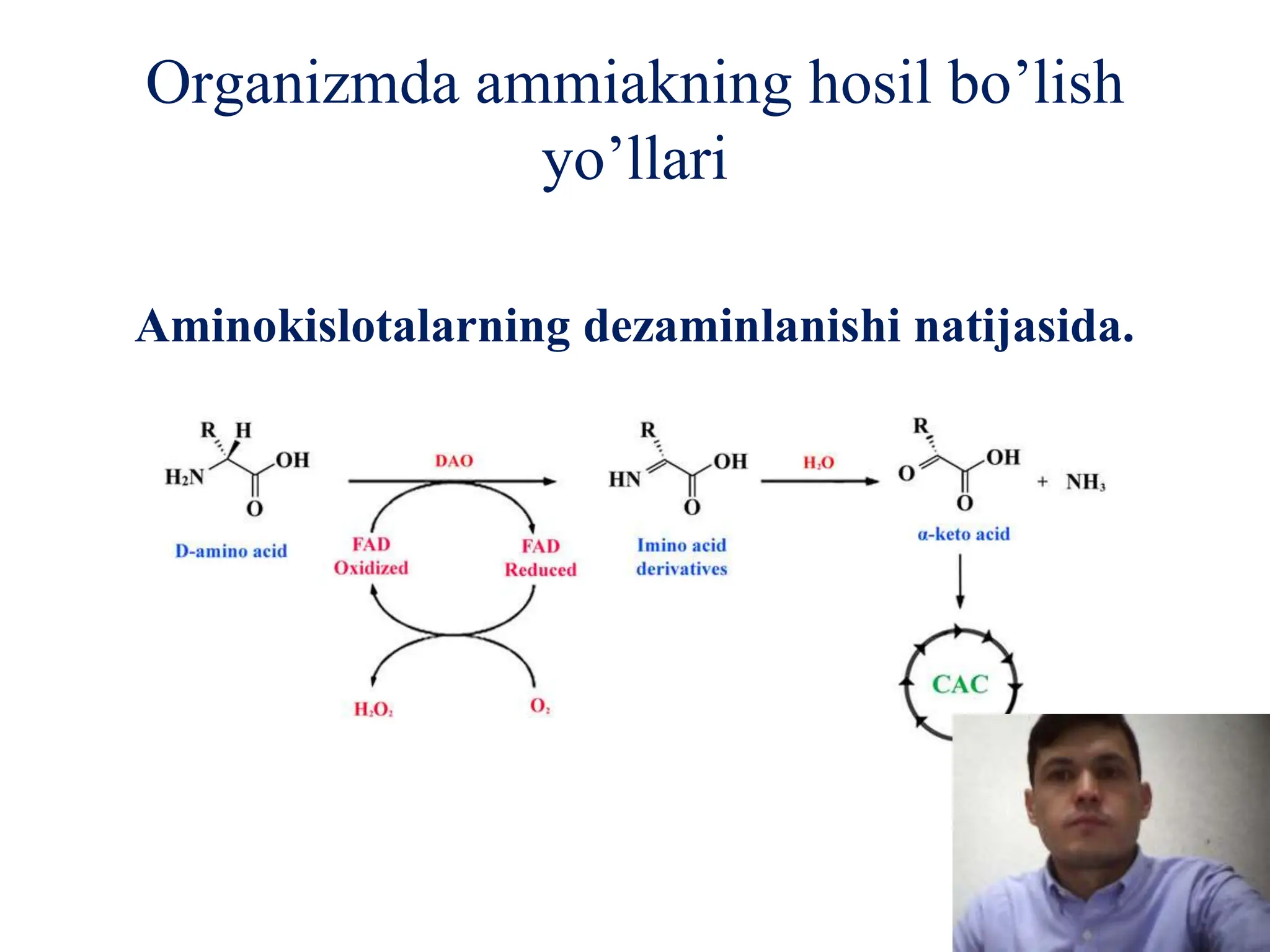 Uning dumbasiga shampan quydi