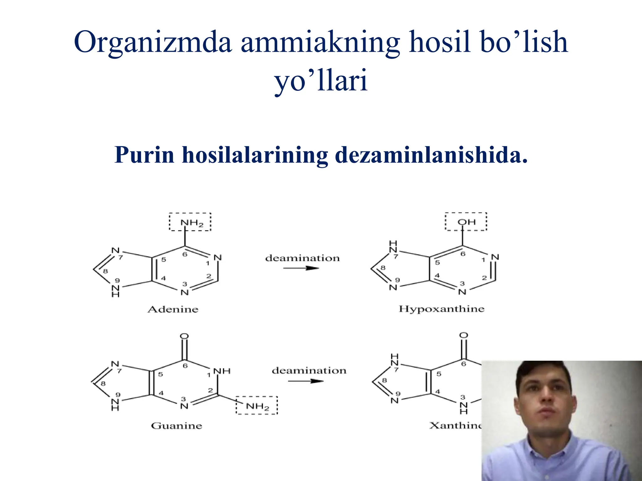 Shafqatsiz jinsiy aloqa mobil porno video