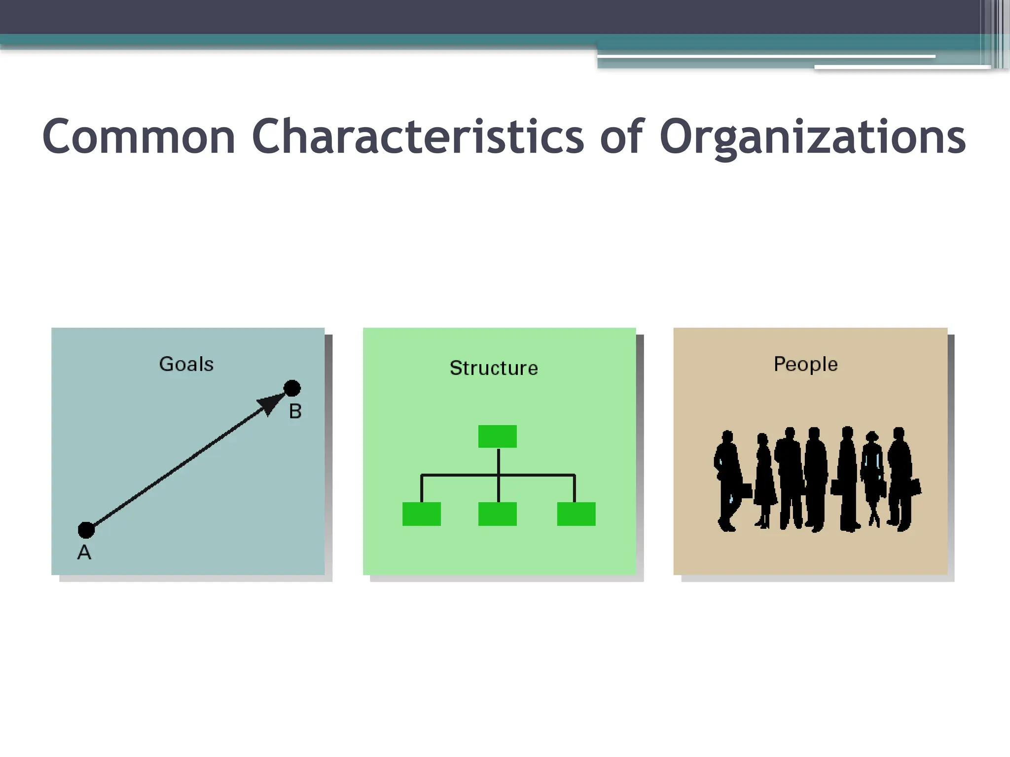 Common Characteristics of Organizations
 
