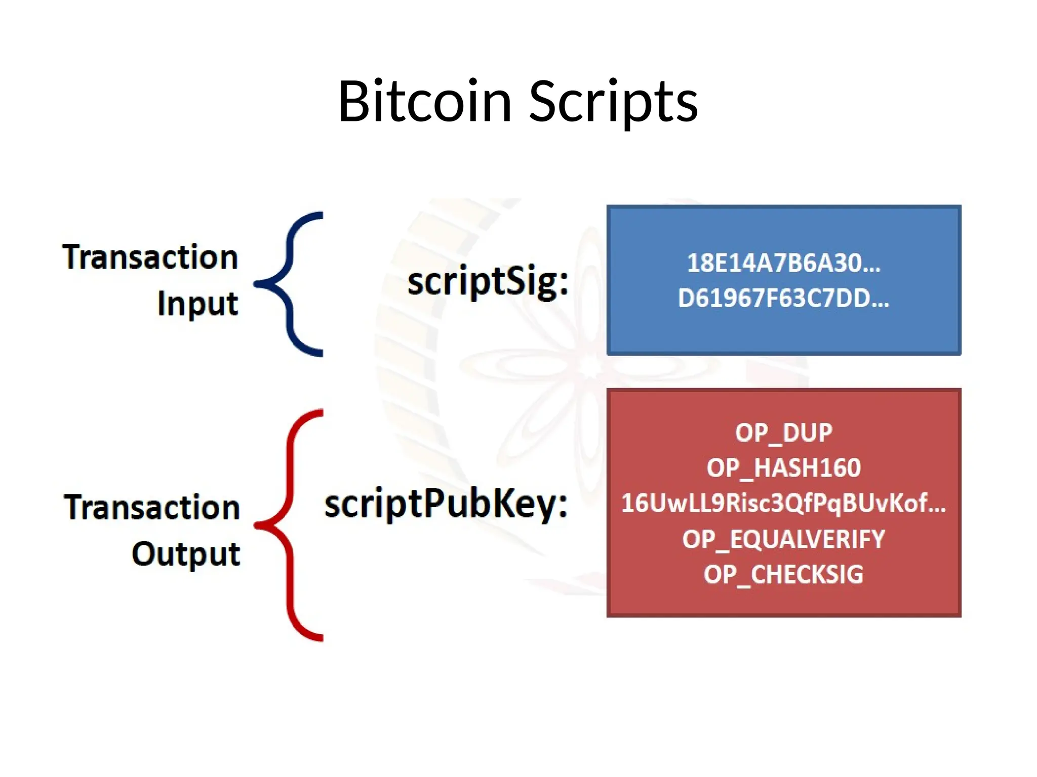 Bitcoin Scripts
 