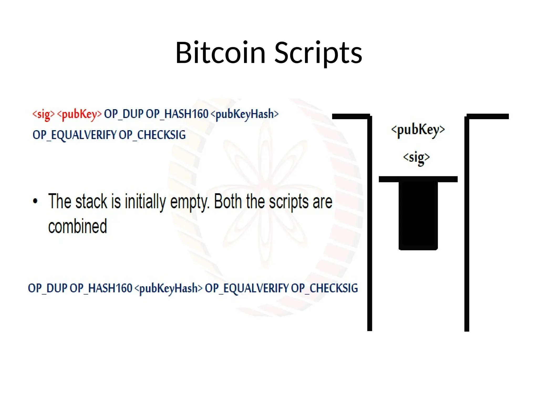 Bitcoin Scripts
 