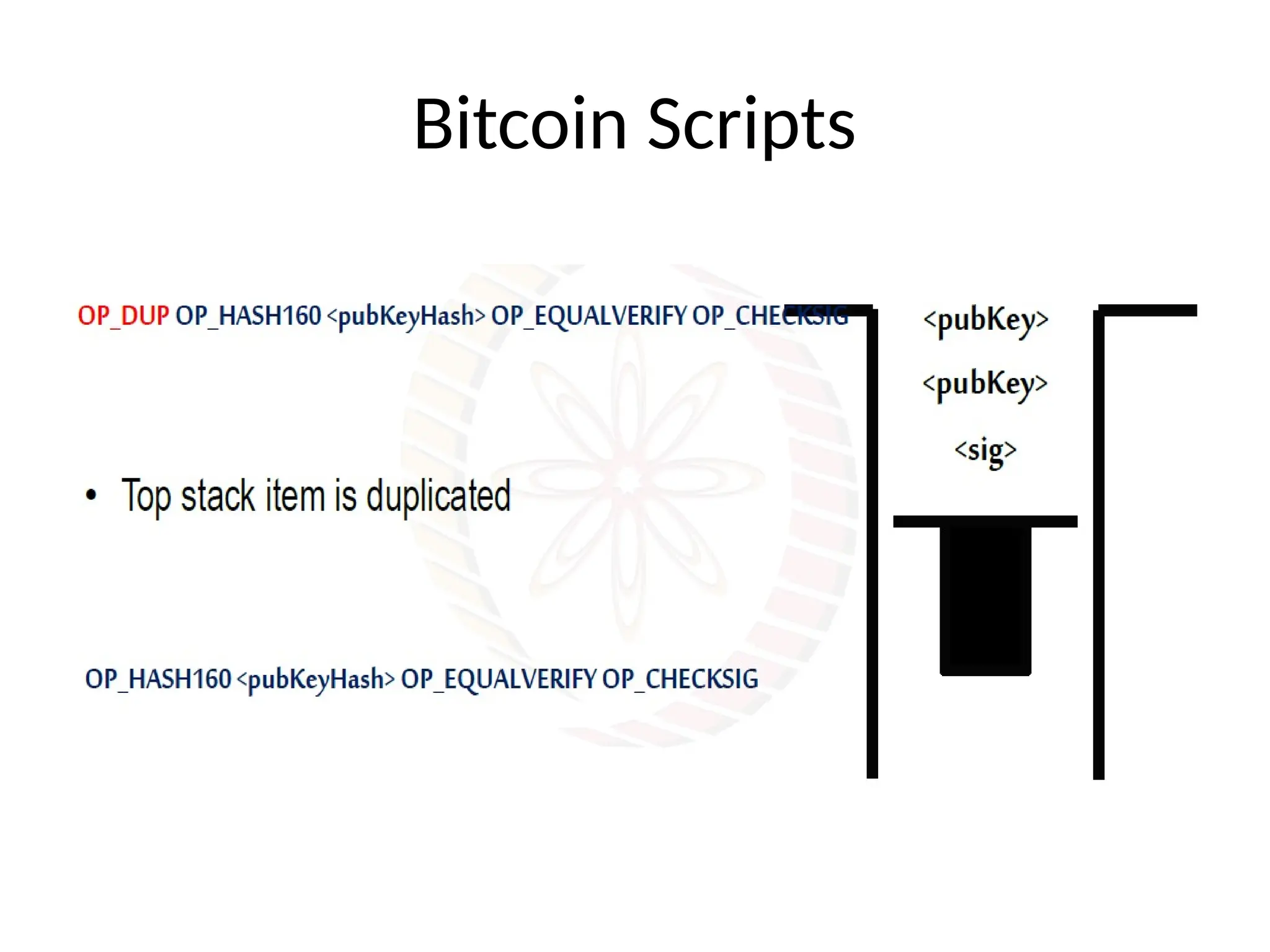 Bitcoin Scripts
 