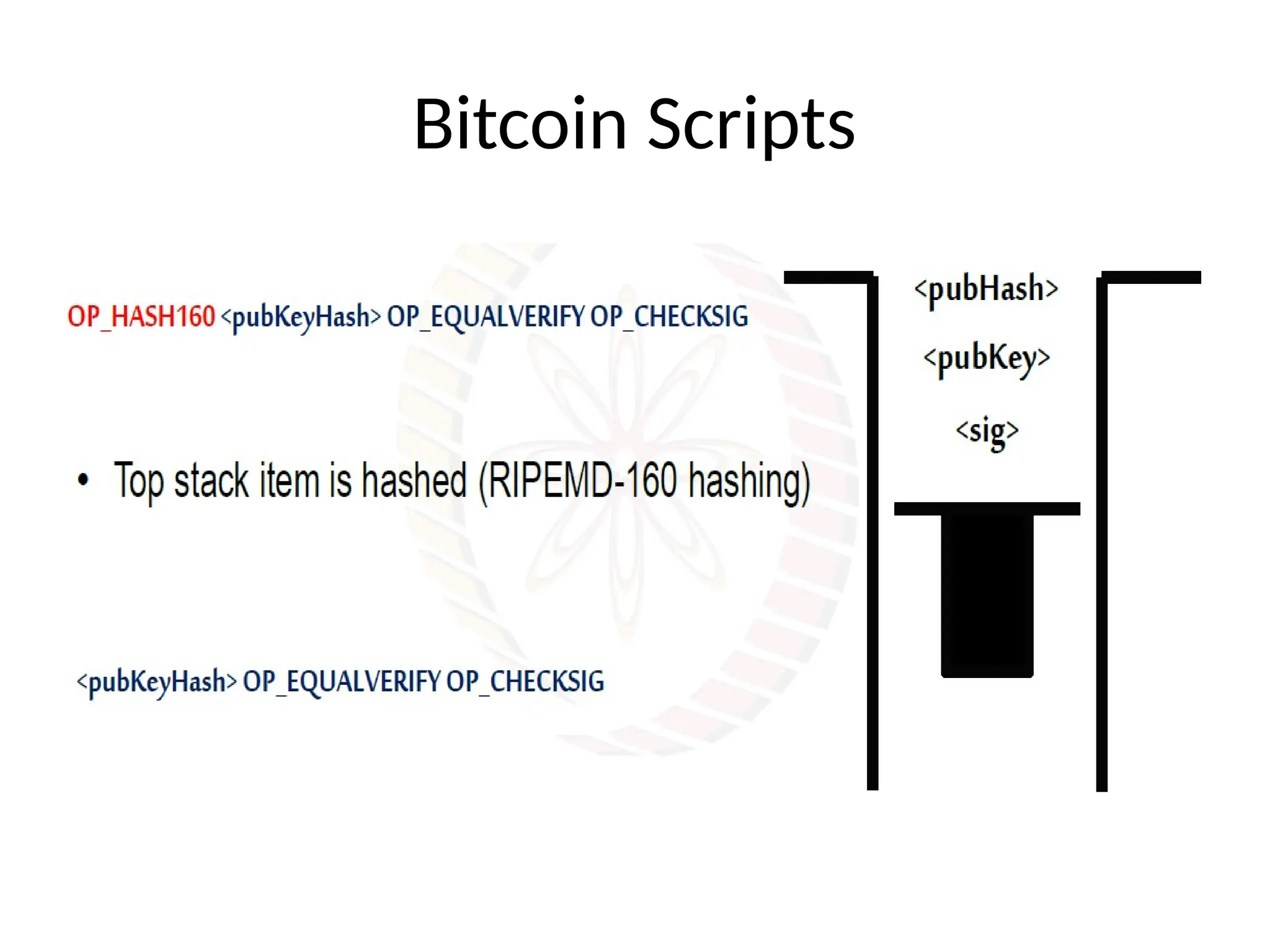 Bitcoin Scripts
 