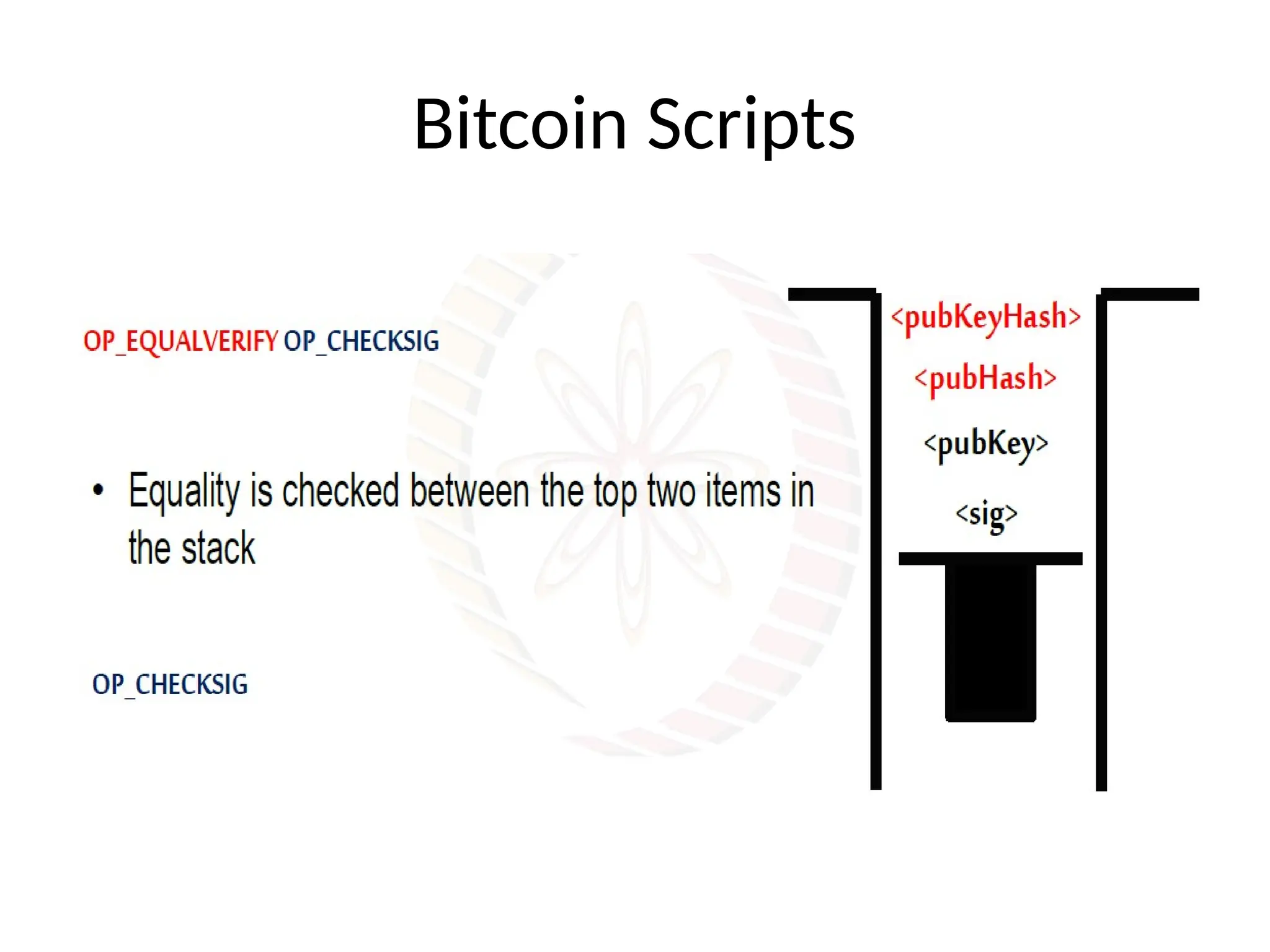 Bitcoin Scripts
 