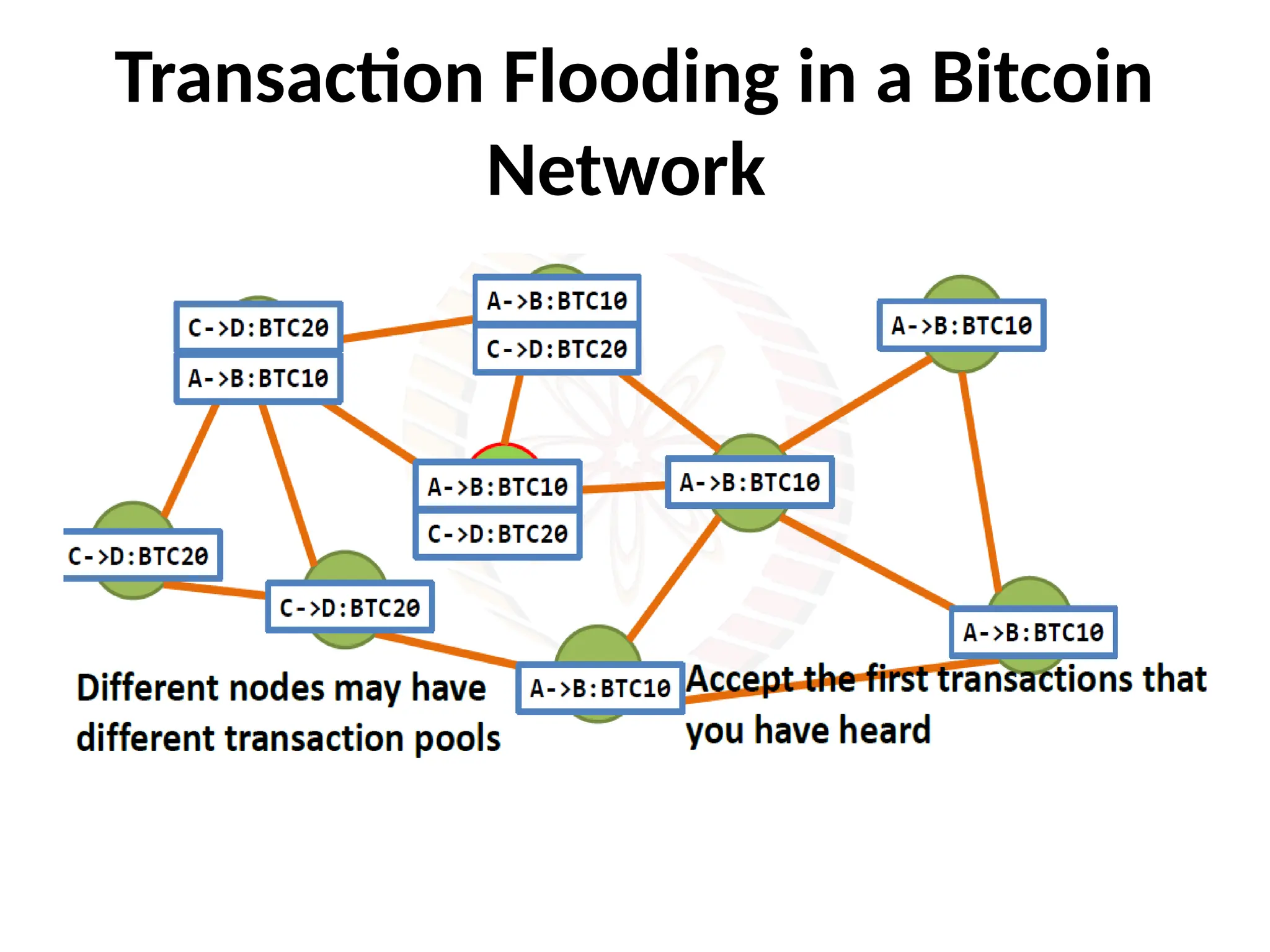 Transaction Flooding in a Bitcoin
Network
 