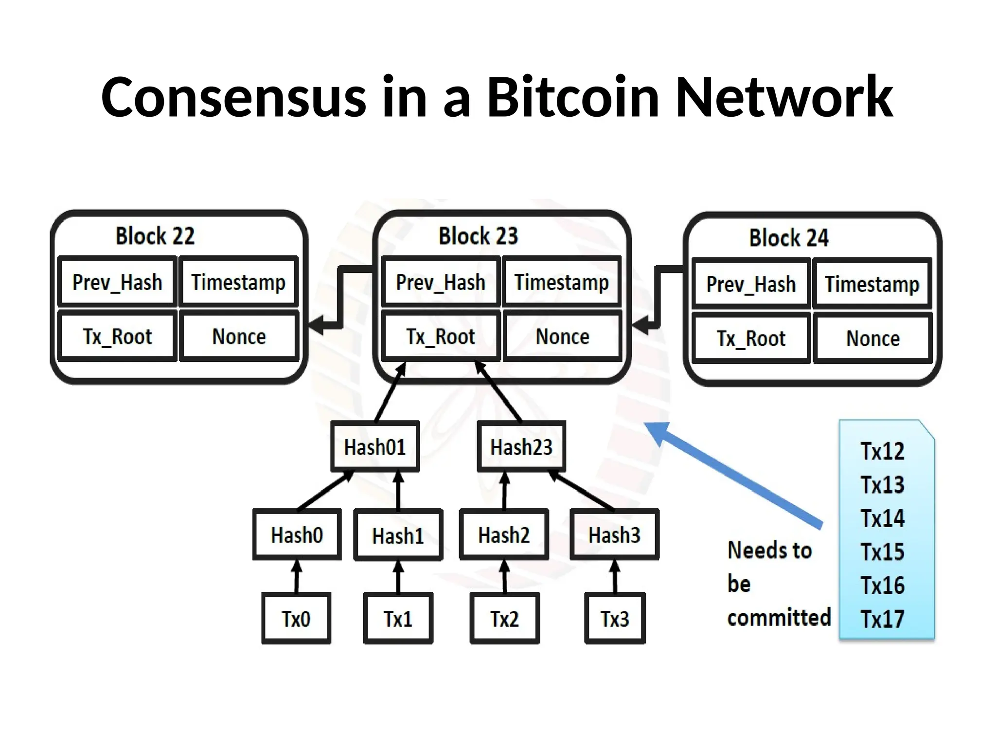 Consensus in a Bitcoin Network
 