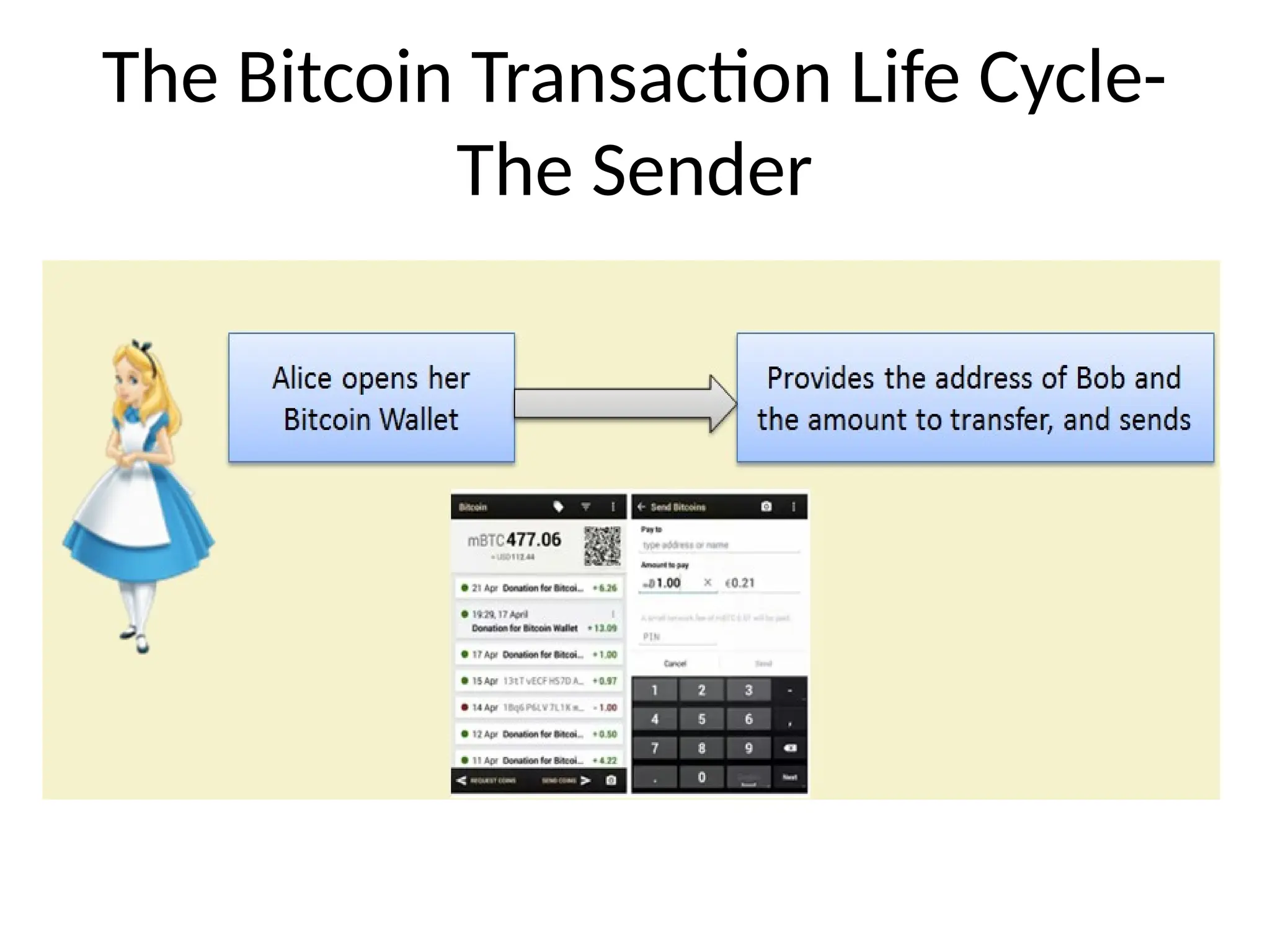 The Bitcoin Transaction Life Cycle-
The Sender
 