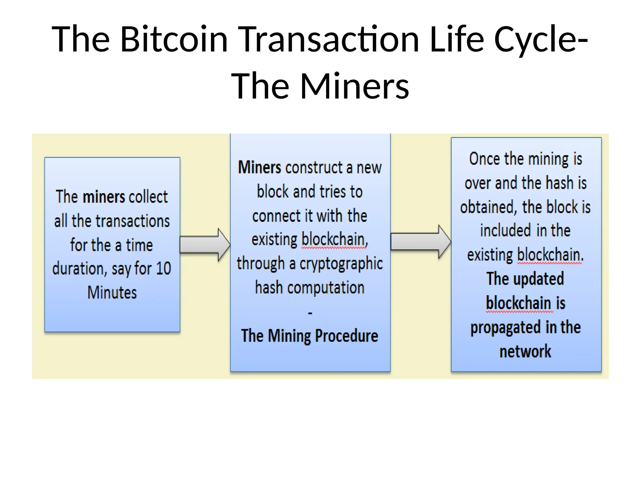 The Bitcoin Transaction Life Cycle-
The Miners
 