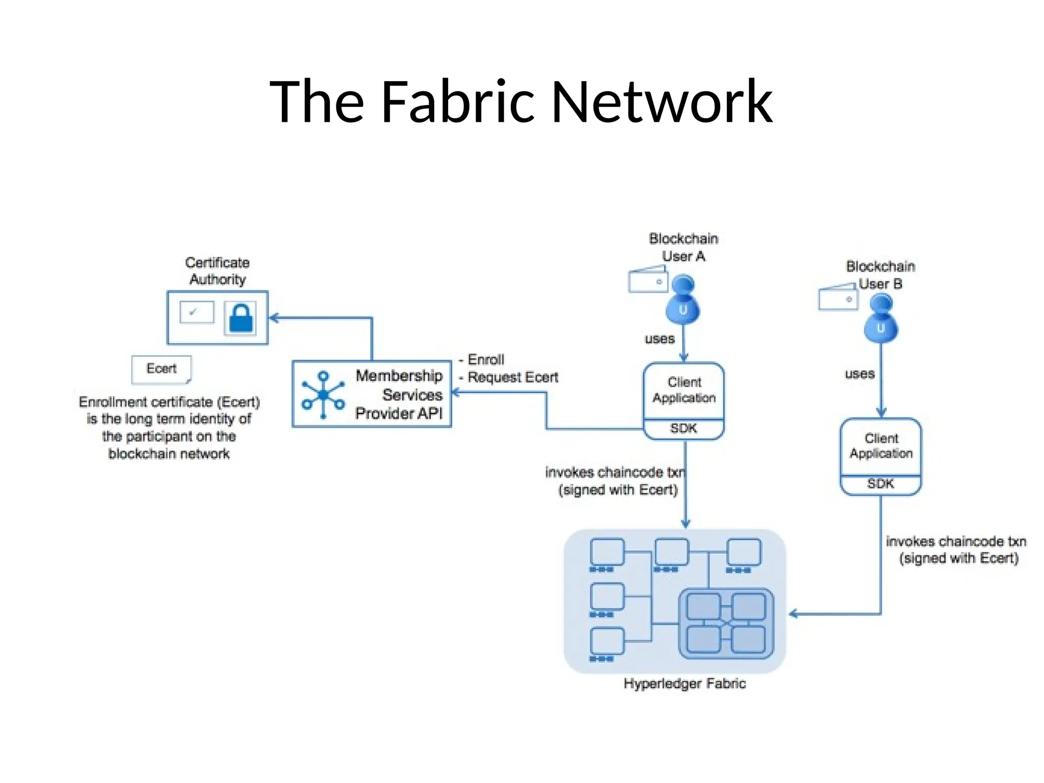 The Fabric Network
 