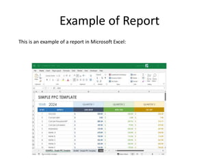 Example of Report
This is an example of a report in Microsoft Excel:
 