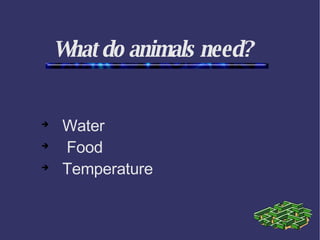 What do animals need? ,[object Object],[object Object],[object Object]