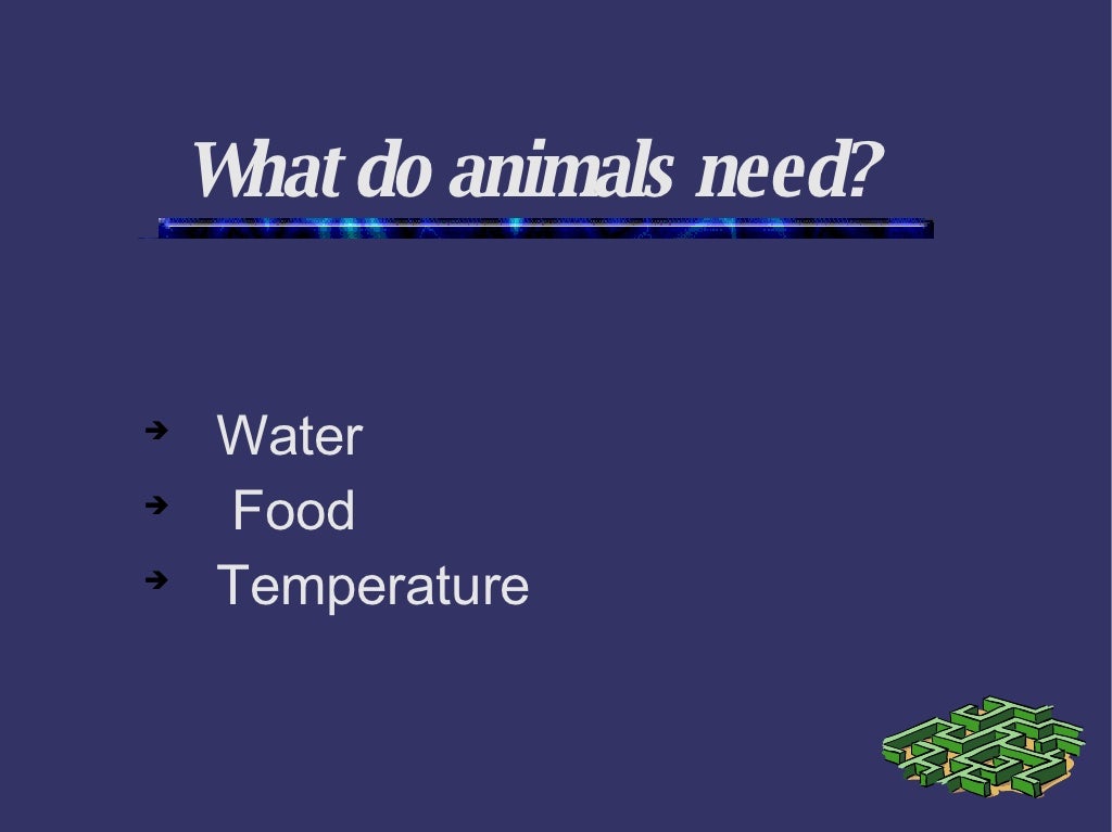 What do animals need?
