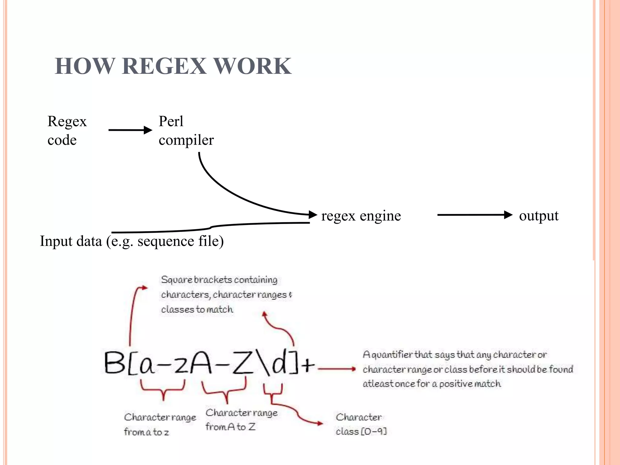 HOW REGEX WORK Regex code Perl compiler Input data (e.g. sequence file) outputregex engine 