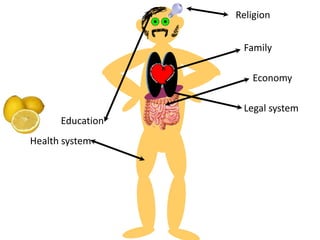 Family
Economy
Legal system
Education
Health system
Religion
 
