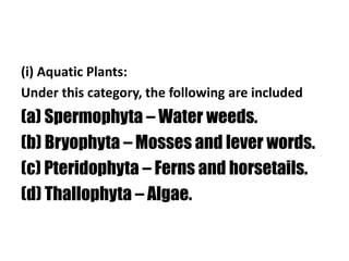 (i) Aquatic Plants:
Under this category, the following are included
(a) Spermophyta – Water weeds.
(b) Bryophyta – Mosses and lever words.
(c) Pteridophyta – Ferns and horsetails.
(d) Thallophyta – Algae.
 