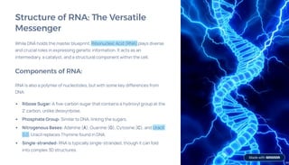 Unit-1-Nucleic-Acids-Carriers-of-Genetic-Information.pdf