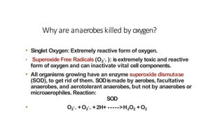 Why are anaerobeskilled by oxygen?
• Singlet Oxygen: Extremely reactive form of oxygen.
• Superoxide Free Radicals (O2
-. ): isextremely toxic and reactive
form of oxygen and can inactivate vital cell components.
• All organisms growing have an enzyme superoxide dismutase
(SOD), to get rid of them. SODismade by aerobes, facultative
anaerobes, and aerotolerant anaerobes, but not by anaerobes or
microaerophiles. Reaction:
SOD
• O2
-. +O2
-. +2H+ ----->H2O2 +O2
 