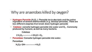 Why are anaerobeskilled by oxygen?
• Hydrogen Peroxide (H2O2 ): Peroxide ion is also toxic and the active
ingredient of several antimicrobials (e.g. benzoyl peroxide). There are
two different enzymes that break down hydrogen peroxide
• Catalase: converts hydrogen peroxide into water and O2 . Commonly
produced by humans, as well as many bacteria.
Catalase
2 H2O2---------->2H2O +O2.
• Peroxidase: Converts hydrogen peroxide into water.
Peroxidase
H2O2+ 2H+ ---------->H2O
 