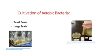 Cultivation of AerobicBacteria:
• Small Scale
• Large Scale
https://bio.libretexts.org/Bookshelves/Ancillary_Materials/Laboratory_Experiments/G
eneral_Biology_Labs/Biology_Labs_(under_construction)/Microbiology/Reading%3A_
Prokaryotes
https://www.shutterstock.com/image-photo/flask-bacterial-culture-
microbiology-laboratory-difference-564005815
 