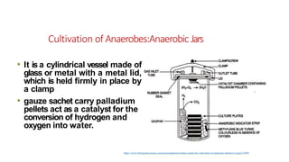 Cultivation of Anaerobes:Anaerobic Jars
• It is a cylindrical vessel made of
glass or metal with a metal lid,
which is held firmly in place by
a clamp
• gauze sachet carry palladium
pellets act as a catalyst for the
conversion of hydrogen and
oxygen into water.
https://www.biologydiscussion.com/microorganisms/culture-media-for-cultivation-of-anaerobic-bacteria-4-types/55049
 