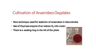 • New technique used for isolation of anaerobes in laboratories
• Use of Oxyraseenzyme that reduce O2 into water
• There isa sealing ring in the lid of the plate
Cultivation of Anaerobes:Oxyplates
 