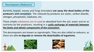 Bacteria, insects, worms and fungi (microbes) eat away the dead bodies of the
producers and consumers. The released by-products are water, carbon dioxide,
nitrogen, phosphates, sulphates, etc.
These simple substances are re-used or absorbed from the soil, water and air as
nutrients by the producers, resulting in a cyclic exchange of materials between
the biotic and abiotic components of the ecosystem.
The decomposers are known as saprotrophs. They are also called as reducers, as
these are able to degrade or remove the dead bodies of organisms.
Decomposers (Reducers)
 