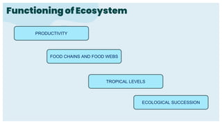 Functioning of Ecosystem
PRODUCTIVITY
FOOD CHAINS AND FOOD WEBS
TROPICAL LEVELS
ECOLOGICAL SUCCESSION
 