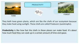 PRODUCTIVITY
FARM
FOREST
They both have green plants, which are like the chefs of our ecosystem because
they make food using sunlight. These chefs are called Producers (autotrophs).
Productivity is like how fast the chefs in these places can make food. It's about
how much food they can cook up in a certain amount of time and space.
 