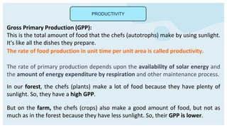 PRODUCTIVITY
Gross Primary Production (GPP):
This is the total amount of food that the chefs (autotrophs) make by using sunlight.
It's like all the dishes they prepare.
In our forest, the chefs (plants) make a lot of food because they have plenty of
sunlight. So, they have a high GPP.
But on the farm, the chefs (crops) also make a good amount of food, but not as
much as in the forest because they have less sunlight. So, their GPP is lower.
The rate of food production in unit time per unit area is called productivity.
The rate of primary production depends upon the availability of solar energy and
the amount of energy expenditure by respiration and other maintenance process.
 