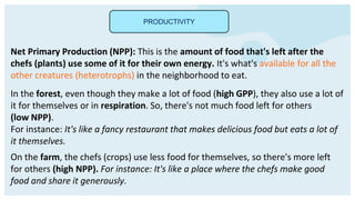 PRODUCTIVITY
Net Primary Production (NPP): This is the amount of food that's left after the
chefs (plants) use some of it for their own energy. It's what's available for all the
other creatures (heterotrophs) in the neighborhood to eat.
In the forest, even though they make a lot of food (high GPP), they also use a lot of
it for themselves or in respiration. So, there's not much food left for others
(low NPP).
For instance: It's like a fancy restaurant that makes delicious food but eats a lot of
it themselves.
On the farm, the chefs (crops) use less food for themselves, so there's more left
for others (high NPP). For instance: It's like a place where the chefs make good
food and share it generously.
 