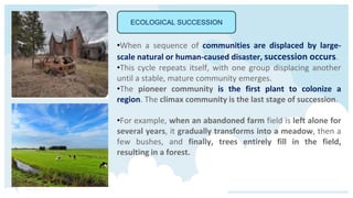 ECOLOGICAL SUCCESSION
•When a sequence of communities are displaced by large-
scale natural or human-caused disaster, succession occurs.
•This cycle repeats itself, with one group displacing another
until a stable, mature community emerges.
•The pioneer community is the first plant to colonize a
region. The climax community is the last stage of succession.
•For example, when an abandoned farm field is left alone for
several years, it gradually transforms into a meadow, then a
few bushes, and finally, trees entirely fill in the field,
resulting in a forest.
 