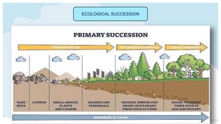 ECOLOGICAL SUCCESSION
 