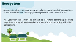 Ecosystem
An ecosystem is a geographic area where plants, animals, and other organisms,
as well as weather and landscape, work together to form a bubble of life.
An Ecosystem can simply be defined as a system comprising all living
organisms existing with one another in a unit of space interacting with abiotic
components.
 
