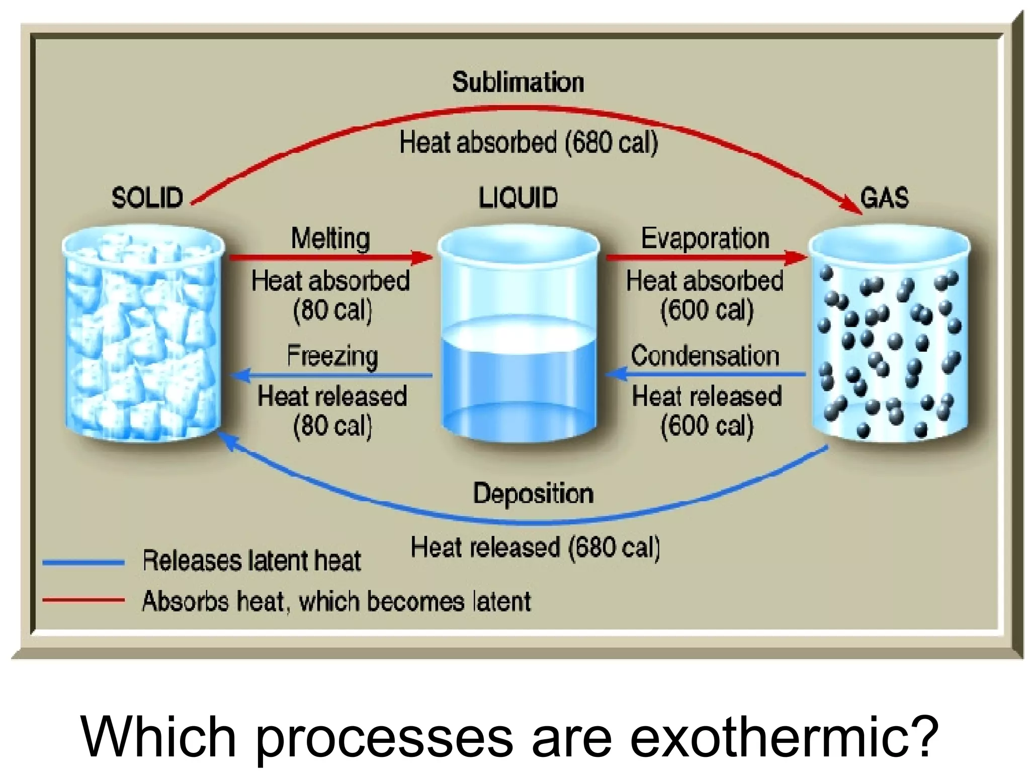 Which processes are exothermic? 