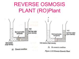 REVERSE OSMOSIS
PLANT (RO)Plant
 