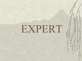 EXPERT 